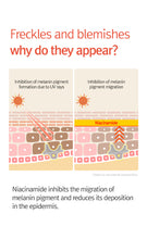 Load image into Gallery viewer, 12GRABS 10 Elements Vita Serum 50ml