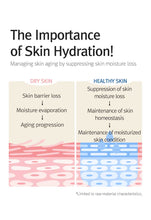 Load image into Gallery viewer, 12GRABS Octuple Hyaluron Moist Essence 50ml