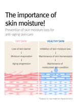 Load image into Gallery viewer, 12GRABS Octuple Hyaluron Moist Toner 150ml