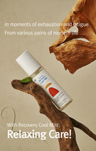 Load image into Gallery viewer, 12GRABS Recovery Sports Cool Mist 100ml