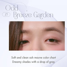 Load image into Gallery viewer, rom&nd BETTER THAN PALETTE  SPRING FEVER (2 colors) 6g