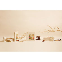 Load image into Gallery viewer, OSULLOC Secret Tea Story 27ea