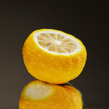 Load image into Gallery viewer, OSULLOC Signature Earl Grey (10 count)