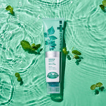 Load image into Gallery viewer, DENTISTE New Plus White Toothpaste 60g