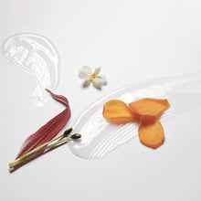 Load image into Gallery viewer, LABO-H Scalp Strengthening Shampoo Hair Loss Care Pear&Freesia 400ml