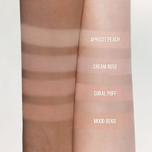 Load image into Gallery viewer, dasique Blending Mood Cheek - 01 Warm Blending