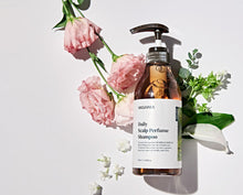 Load image into Gallery viewer, MIGUHARA Daily Scalp Shampoo 500ml