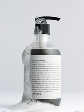 Load image into Gallery viewer, CHAHONG Pro DX Shampoo 500ml