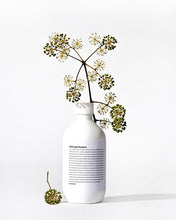 Load image into Gallery viewer, CHAHONG Vital Scalp Shampoo 500ml