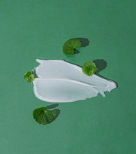 Load image into Gallery viewer, papa recipe Madecare Oint 33g