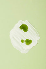 Load image into Gallery viewer, papa recipe Tea Tree Control Cleansing Foam 120ml