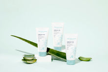 Load image into Gallery viewer, THE FACE SHOP Herb Day 365 Amino Acid Facial Foaming Cleanser 170ml #Aloe