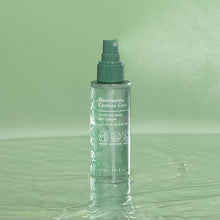 Load image into Gallery viewer, TONYMOLY Houttuynia Cordata Cica Quick Calming Mist Serum 110ml