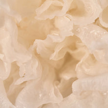 Load image into Gallery viewer, KAINE Vegan Collagen Youth Cream 50ml