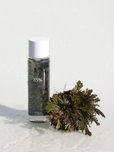 Load image into Gallery viewer, Dr.Althea Anastatica Skin Conditioning Toner 250ml