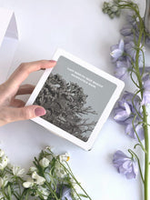 Load image into Gallery viewer, Dr.Althea Last Minute Skin Rescue Anastatica Mask 30ea/310ml