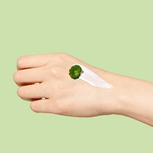 Load image into Gallery viewer, Dr.Ceuracle Cica Regen Waterproof Sun SPF50+ PA++++ 100ml