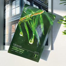 Load image into Gallery viewer, Dr.Ceuracle Tea Tree Purifine Soothing Mask 23ml*10ea