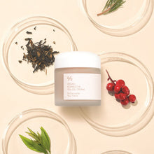 Load image into Gallery viewer, Dr.Ceuracle Vegan Kombucha Tea Gel Cream 75g