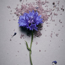 Load image into Gallery viewer, AROMATICA Serene Bath Salts Lavender & Marjoram 50g