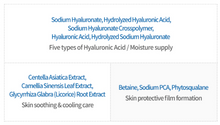 Load image into Gallery viewer, Isntree Hyaluronic Acid Aqua Gel Cream 100ml