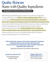 Load image into Gallery viewer, Isntree Hyaluronic Acid Water Essence 50ml