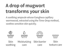 Load image into Gallery viewer, Isntree Spot Saver Mugwort Ampoule 50ml