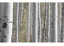 Load image into Gallery viewer, ROUND LAB Birch Juice Moisturizing Cleanser 150ml (water gel type)