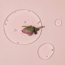 Load image into Gallery viewer, AROMATICA Reviving Rose Infusion Serum 100ml
