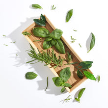 Load image into Gallery viewer, AROMATICA Rosemary Hair Thickening Conditioner 400ml