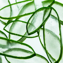 Load image into Gallery viewer, AROMATICA Soothing Aloe Aqua Cream 150g