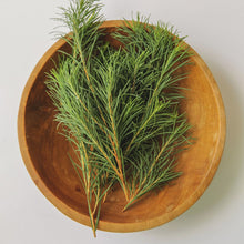 Load image into Gallery viewer, AROMATICA Tea Tree Balancing Toner 200ml