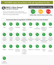 Load image into Gallery viewer, Isntree Green Tea Fresh Emulsion 120ml