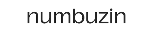 Logo of 'numbuzin' with a black text on a white background
