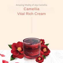 Load image into Gallery viewer, [JEJU INDI] Camellia Vital Rich Cream 50ml
