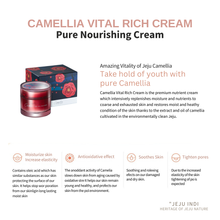 Load image into Gallery viewer, [JEJU INDI] Camellia Vital Rich Cream 50ml
