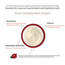 Load image into Gallery viewer, [JEJU INDI] Camellia Vital Rich Cream 50ml
