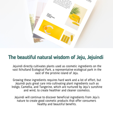 Load image into Gallery viewer, [JEJU INDI] Vitamin C Bubble Powder Cleanser 30ea
