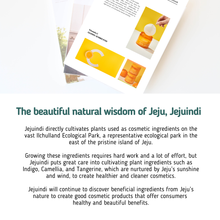 Load image into Gallery viewer, [JEJU INDI] Vitamin C Glossy Jumbo Pad 160ml
