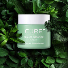 Load image into Gallery viewer, [KIM JEONG MOON Aloe] Cure Realoe Signature Cream 55g
