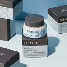 Load image into Gallery viewer, primera Alpine Berry Watery Cream 50ml
