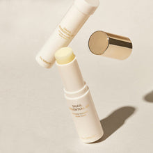 Load image into Gallery viewer, The SAEM Snail Essential EX Wrinkle Solution Multi Stick 10.5g
