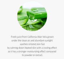 Load image into Gallery viewer, Isntree Aloe Soothing Gel (Moist Type) 150ml
