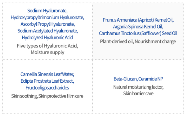 Isntree Hyaluronic Acid Moist Cream 100ml