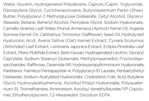 Isntree Hyaluronic Acid Moist Cream 100ml