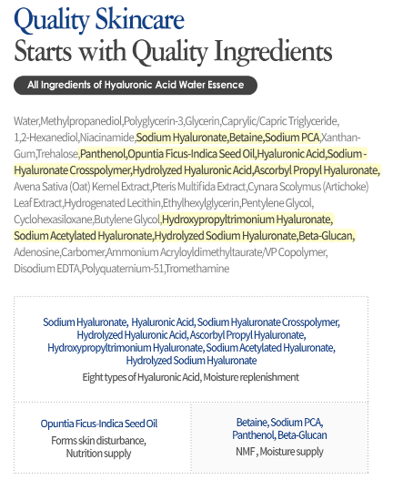 Isntree Hyaluronic Acid Water Essence 50ml