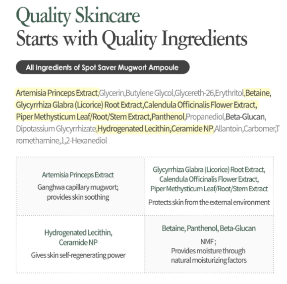 Isntree Spot Saver Mugwort Ampoule 50ml