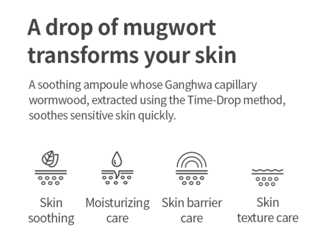 Isntree Spot Saver Mugwort Ampoule 50ml