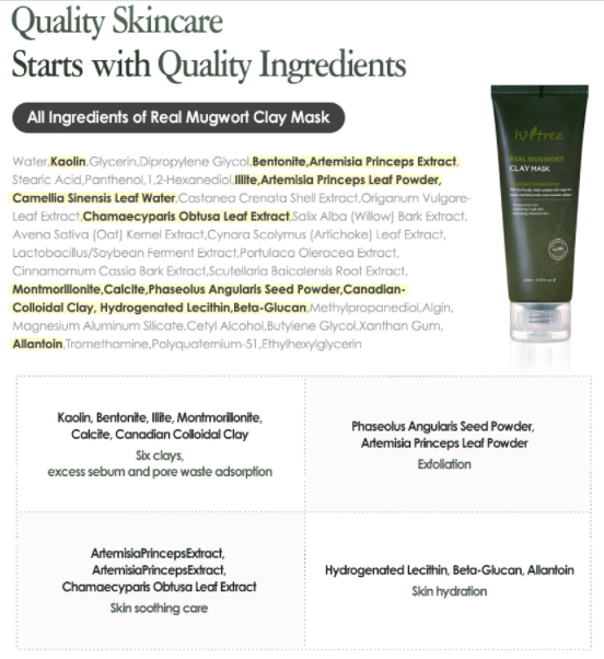 Isntree Real Mugwort Clay Mask 100ml