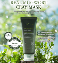 Load image into Gallery viewer, Isntree Real Mugwort Clay Mask 100ml
